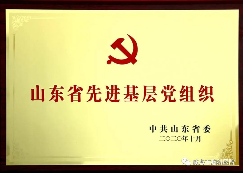 2020.10--山东省先进基层党组织