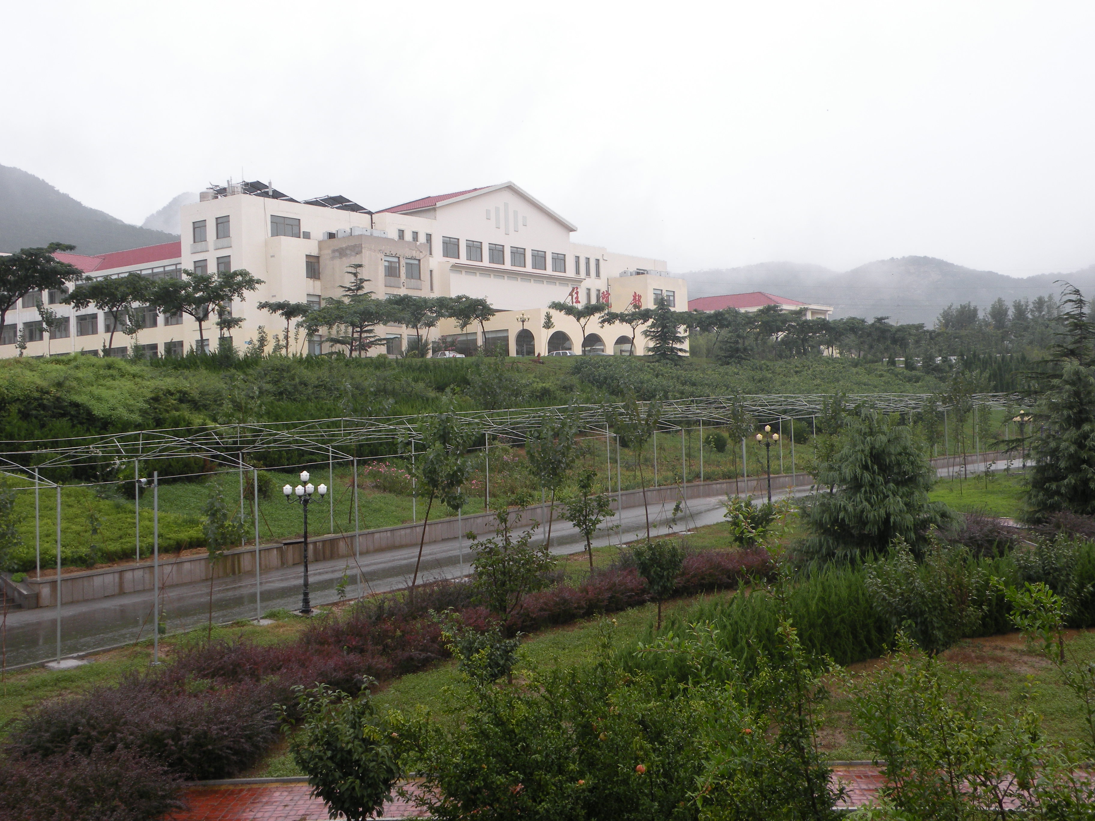 雨景