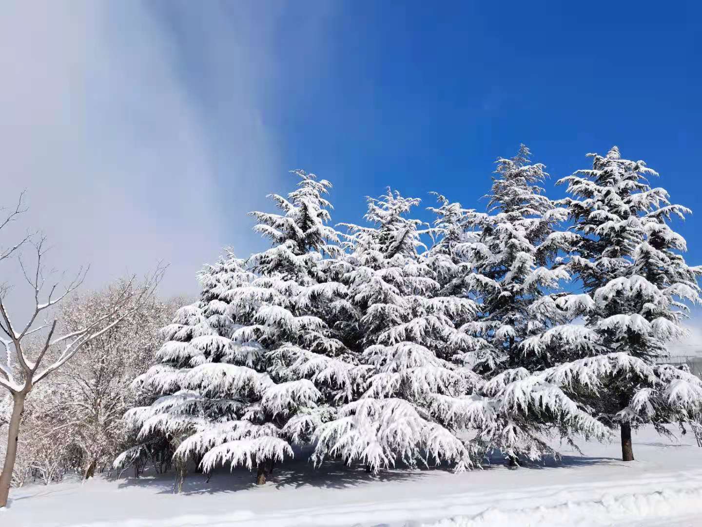 雪景2